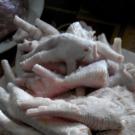 Ukrainan hyytelö Ukrainan hyytelöity sianliha ja ankka: vaiheittainen resepti valokuvilla